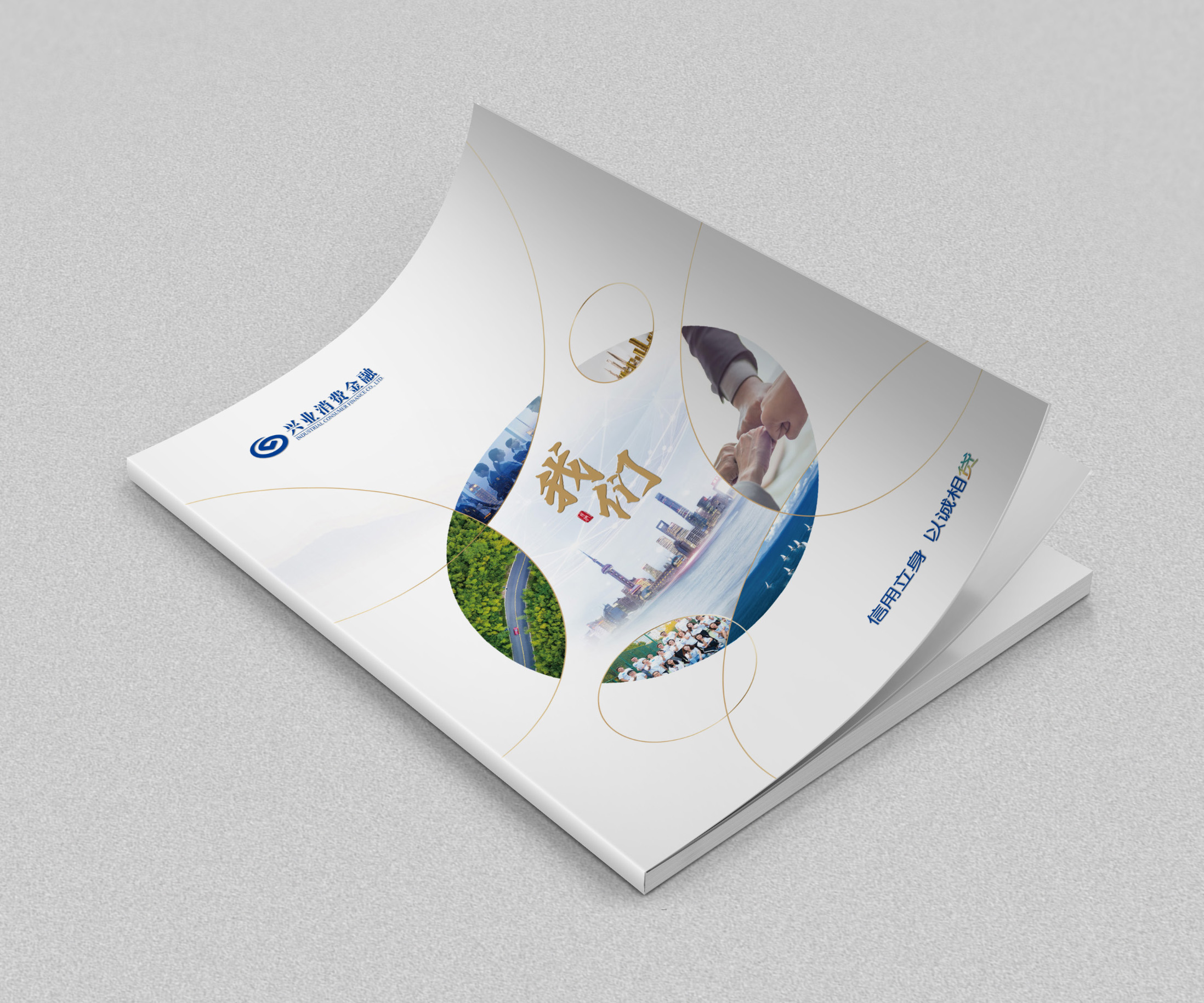 企業(yè)宣傳畫冊設(shè)計(jì),品牌畫冊設(shè)計(jì)